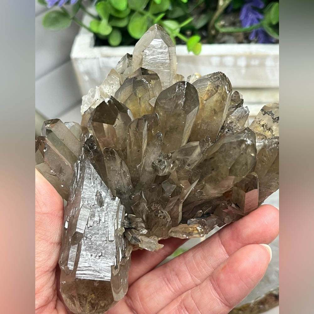 Stunning Smokey Quartz Cluster Gem Rock Collector - Picture 5 of 6